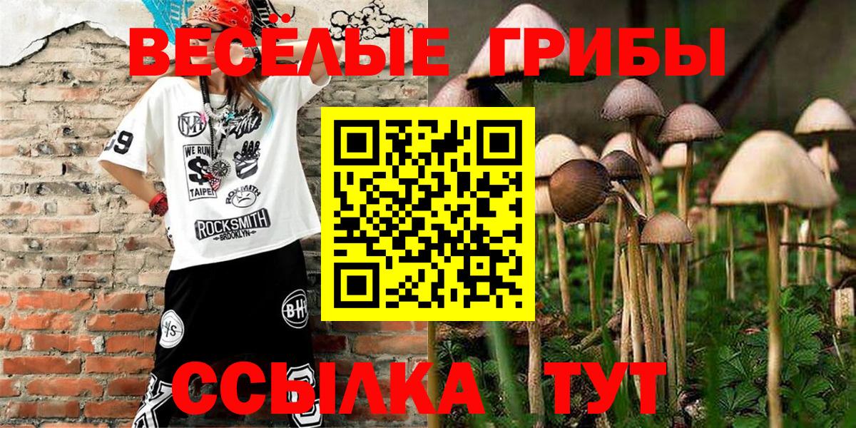 Галлюциногенные грибы Psilocybe Нурлат