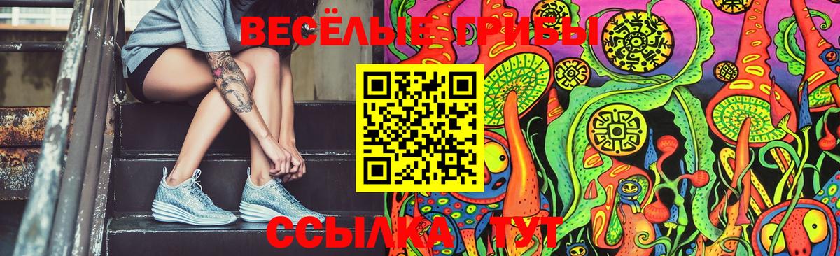 Псилоцибиновые грибы Psilocybine cubensis  Вход с VPN  Нурлат 